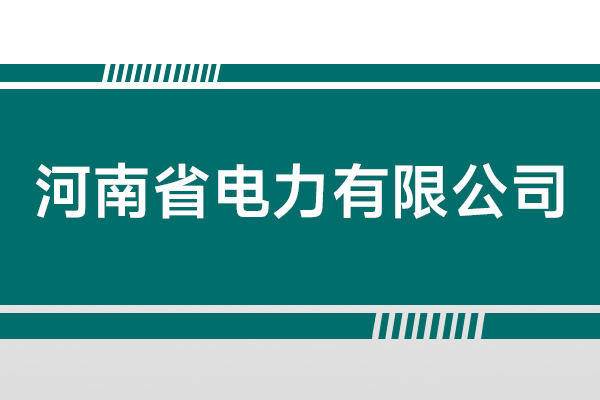 河南省电力有限公司