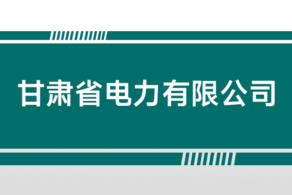 甘肃省电力有限公司